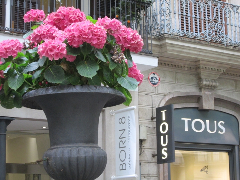 8b73a42f665d6a2641fcaae19abdf883